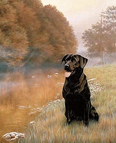 EPTIC DIY 5D Diamond Painting Kit, Black Labrador Dog Paint By Numbers Diamond, Diamond Painting Arts Craft For Home Wall Decor 40x50CM von EPTIC