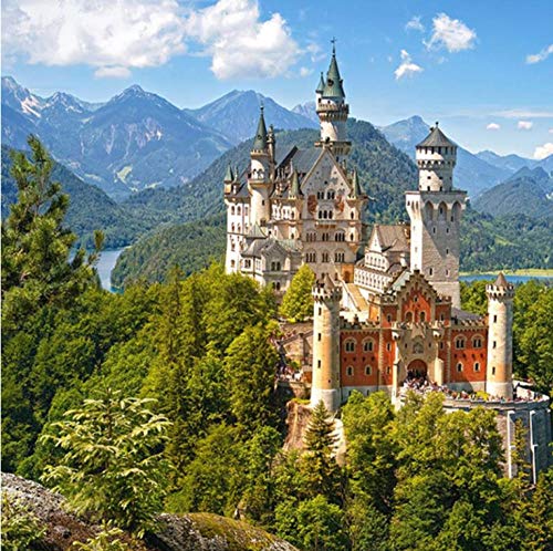 ERBWB DIY 5D Diamant Painting Schloss Neuschwanstein Malerei Kit Voller Bohrer Diamant Stickerei Strass Malerei Kleben Malen nach Zahlen Stich Kunst Kit Zuhause Dekor Mauer Aufkleber 30cm*40cm von ERBWB