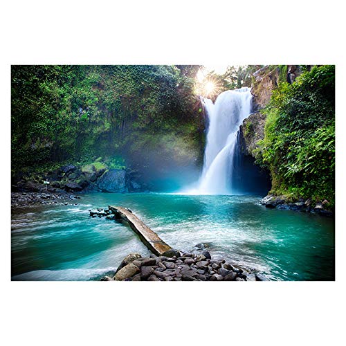 Natürliche Wasserfall Landschaft Leinwand Malerei, Wohnzimmer Home Wall Art Decor Bilder 30x45cm Rahmenlos von ERJIE