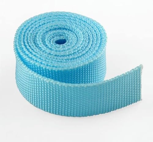 100 Yards/Lot 23 mm breites PP-Gurtband zum Nähen von Kleidersäcken, Rucksäcken, Band, DIY-Zubehör, handgefertigt-A03 Himmelblau, 23 mm von ERTUUO