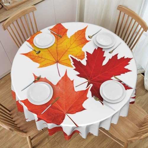 ESNAIUVCD Runde Tischdecke mit Herbstblatt-Motiv, Polyester, abwischbar, wasserdicht, für Küche, Esszimmer, Party, Picknick, Terrasse, Outdoor, 152 cm von ESNAIUVCD