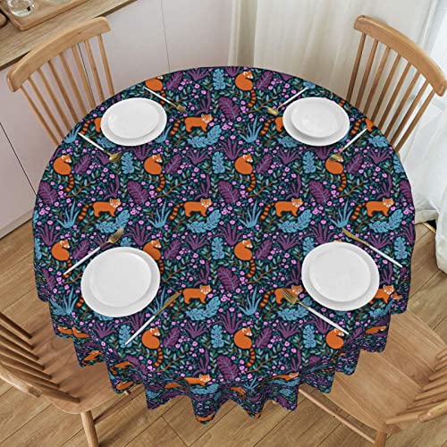 ESNAIUVCD Runde Tischdecke mit Katzendruck, 152 cm, Polyester, abwischbar, wasserdicht, für Küche, Esszimmer, Party, Picknick, Terrasse, Outdoor von ESNAIUVCD