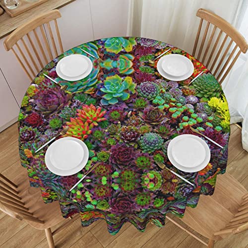 ESNAIUVCD Runde Tischdecke mit Sukkulenten-Druck, Polyester, abwischbar, wasserdicht, für Küche, Esszimmer, Party, Picknick, Terrasse, Outdoor, 152 cm von ESNAIUVCD