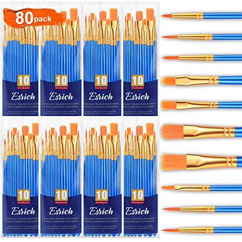 ESRICH Acryl-Pinsel-Set, 8 Packungen/80 Stück, Nylon-Pinselkopf, geeignet für Acryl, Öl, Aquarell, Felskörper, Gesicht, Nagelkunst, perfekter Anzug für Kunstmalerei, Erwachsene, Zeichnen von ESRICH