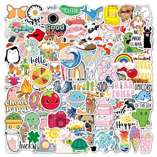 EUZUXU 100 Stücke Sticker Aesthetic Sticker Set Coole Aufkleber Sticker, Trendy Aufkleber Sticker Für Sticker Laptop Computer, Sammelalbum, Gitarre, Wasserflasche, Koffer, Skate, Notebook usw von EUZUXU