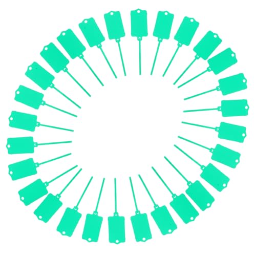 EXCEART 1 Satz Plastikschild Das Etikett Etiketten Markieren Große Schlüsselanhänger Beschreibbare Tags Beschreibbare Etiketten Leere Tags Schlüsselanhänger Mit Etiketten Pp Green 100st von EXCEART