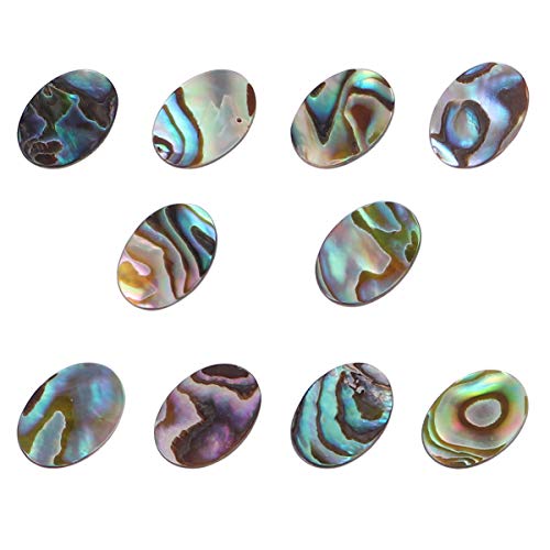 10 Stück Abalone-Muschel-Perlen, oval, natürlich, flach, Münzperlen, Edelsteinperlen, Schmuckherstellung, Perlen für DIY Ohrringe, Halsketten, Anhänger, 10 x 14 mm (bunt) von EXCEART