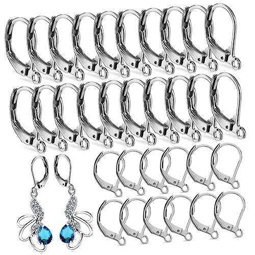 EXCEART Edelstahl Ohrhaken Leverback Für DIY Ohrringe Schmuckherstellung Dangle Earring Hooks Schmuckzubehör Für Kreative Projekte von EXCEART