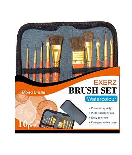 Exerz JH023 Künstler Pinsel Set – 10 Stück professionelle gemischte Borstenpinsel in Einer Reisehülle/Perfekt für Wasserfarben Acryl Gouache von EXERZ