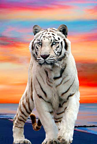 EXQUILEG Diamond Painting Tiger, DIY 5D Tiger Diamant Painting Kit mit Diamond Painting Zubehör für Erwachsene Kinder Crystal Rhinestone Embroidery Diamant Malerei für Home Wall Déc (60 * 100cm) von EXQUILEG