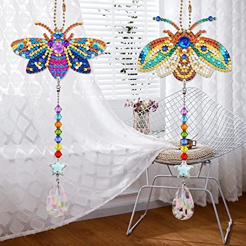 2 Pcs Diamond Painting Sonnenfänger, 5D Diamond Painting Windspiele DIY Diamant Malerei Hängender Anhänger Handwerk für Haus Garten Dekor (SMDZ203) von EXQULEG