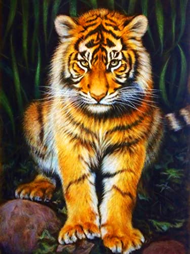 EXQULEG 5D Diamond Painting Tiger, Eichhörnchen Diamant Painting, DIY Diamant Malerei Kits, Diamond Painting Bilder für Kinder Erwachsene Home Wand Decor (C,30x40cm) von EXQULEG