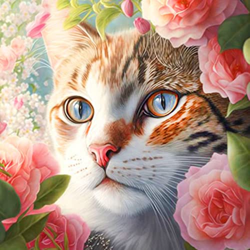 EXQULEG Blumen Katze Diamond Painting, 5D Diamant Painting Bilder für Erwachsene oder Kinder Anfänger, DIY Diamant Malerei Kit für Zuhause Zimmer Wand Dekoration (30x30cm) von EXQULEG