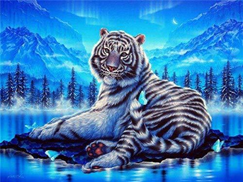 EXQULEG DIY 5D Diamant Malerei Kits, Tiger 5D Diamond Painting Voll Strass Stickerei Kreuzstich Bilder Arts Craft für Büro Wand Haus Dekoration (40x30cm) von EXQULEG