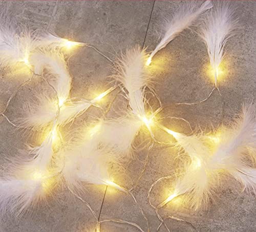 Federn Lichterketten,LED Lichterkette Batterie Lichterkette für Party Garten Weihnachten Halloween Hochzeit Beleuchtung Deko (Weiß,2 Meter 10 Lichter) von EXQULEG