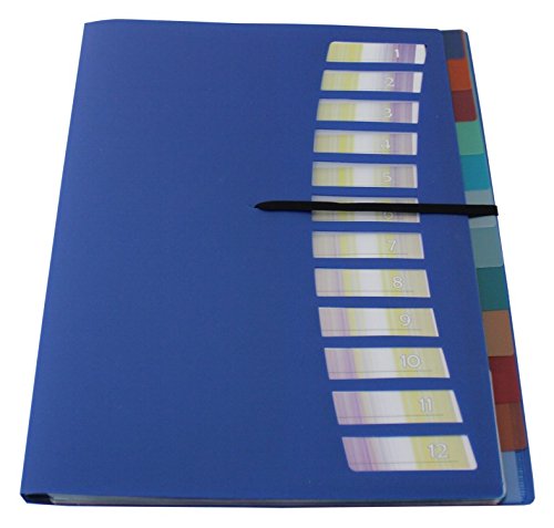 EXXO by HFP Registermappe/Ordnungsmappe/Sammelmappe, A4, aus PP, mit 12 farbig-transparenten Taben, Gummizug, mit Einschubfächern und Ausstanzungen zur Befestigung, Farbe: blau – 1 Stück von EXXO by HFP