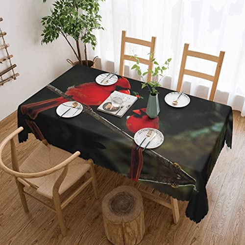 EZDLOWVBA Rechteckige Tischdecke, abwischbar, wasserabweisend, für Zuhause, Esszimmer, Küche, Party, 137 x 183 cm von EZDLOWVBA