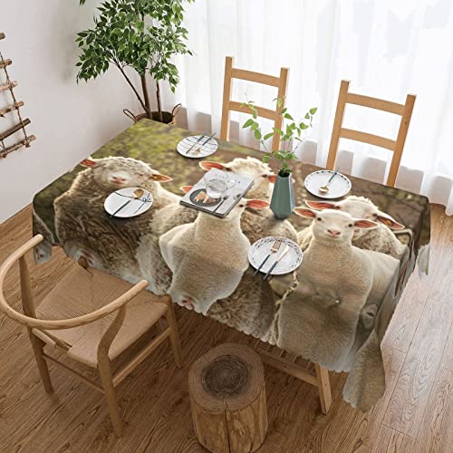 EZDLOWVBA Rechteckige Tischdecke mit Schaf- und Lämmer-Druck, abwischbar, wasserabweisend, Tischdecke für Zuhause, Esszimmer, Küche, Party, 137 x 183 cm von EZDLOWVBA