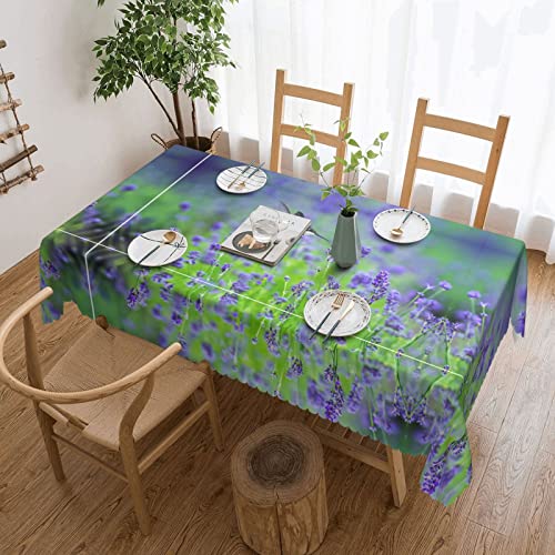 EZDLOWVBA Rechteckige Tischdecke mit Vögeln in violettem Lavendel, Blumendruck, abwischbar, wasserabweisend, Tischdecke für Zuhause, Esszimmer, Küche, Party, 137 x 183 cm von EZDLOWVBA