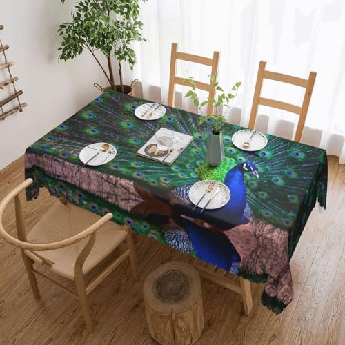 EZDLOWVBA Rechteckige Tischdecke mit schönem Pfauenmuster, abwischbar, wasserabweisend, Tischdecke für Zuhause, Esszimmer, Küche, Party, 137 x 183 cm von EZDLOWVBA