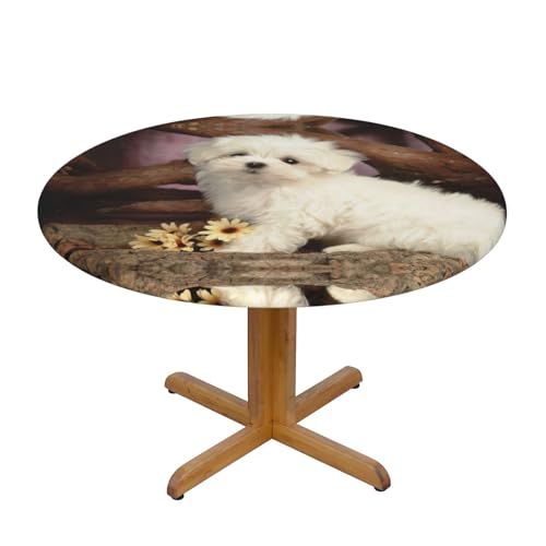 Wasserdichte, runde Tischdecke mit niedlichem Hundedruck, elastische Kanten, schmutzabweisend, öldicht, Tischschutz für Esszimmer, Küche, Picknick, Party (S: 122 cm), M: 138 cm von EZDLOWVBA