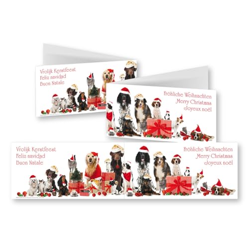 Edition Colibri 10 Panoramakarten, Weihnachtskarten mit Umschlag Set: Hunde mit Weihnachtsmütze, Weihnachtskarte, Klappkarten, mehrsprachig, lustige Weihnachtskarte (11156) von Edition Colibri