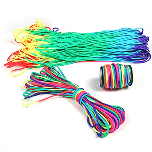 Egurs Paracord Seil 31m/101ft 4mm Regenbogen Paracord Schnüre DIY Handgemachte Schnur Bänder für Armbänder, Schlüsselanhänger Anhänger, Basteln, Gartenarbeit, Outdoor-Aktivitäten von Egurs