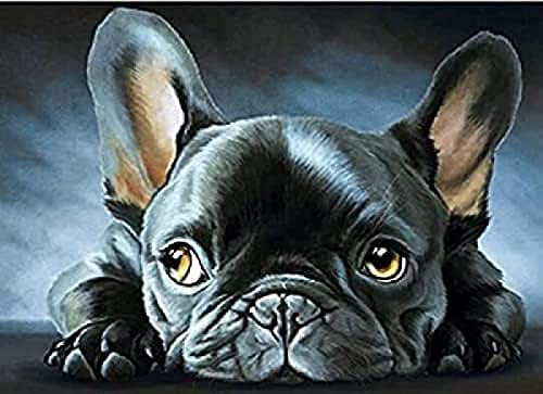 Eiialerm Erwachsene Stickerei Kreuzstich Französische Bulldogge 11CT Vorgedruckte Leinwand Kreuzstich Set AnfäNger Stickbilder, für Wandkunst-Heimdekoration 40X50cm von Eiialerm