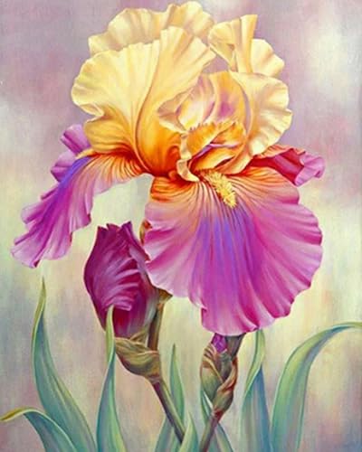 Eiialerm Erwachsene Stickerei Kreuzstich Iris 11CT Vorgedruckte Leinwand Kreuzstich Set AnfäNger Stickbilder, für Wandkunst-Heimdekoration 40X50cm von Eiialerm