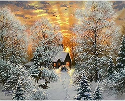 Eiialerm Erwachsene Stickerei Kreuzstich Landschaft Winter 11CT Vorgedruckte Leinwand Kreuzstich Set AnfäNger Stickbilder, für Wandkunst-Heimdekoration 40X50cm von Eiialerm