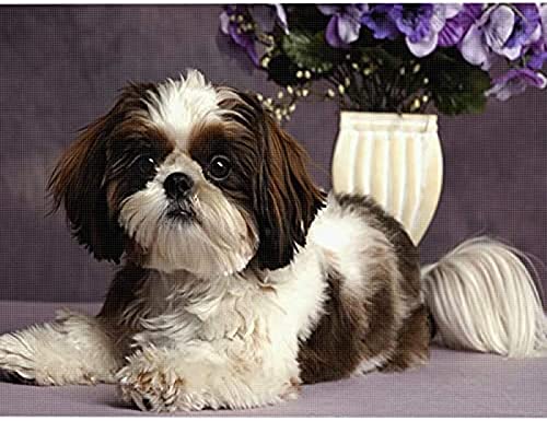 Eiialerm Erwachsene Stickerei Kreuzstich Shih Tzu-Tiere 11CT Vorgedruckte Leinwand Kreuzstich Set AnfäNger Stickbilder, für Wandkunst-Heimdekoration 40X50cm von Eiialerm