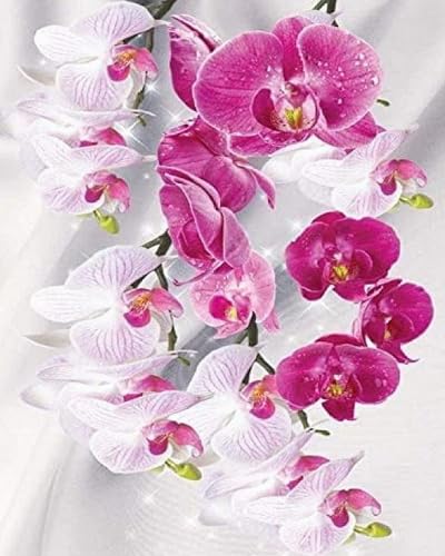 Eiialerm Kreuzstich Stickpackungen Orchidee DIY Vorgedruckt Kreuzstich Stickbilder 11CT Sticken Set für Erwachsene Anfänger Home Decor 40x50cm von Eiialerm