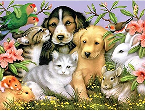 Eiialerm Kreuzstich Stickpackungen Schwarzer Hund und weiße Katze DIY Vorgedruckt Kreuzstich Stickbilder 11CT Sticken Set für Erwachsene Anfänger Home Decor 40x50cm von Eiialerm