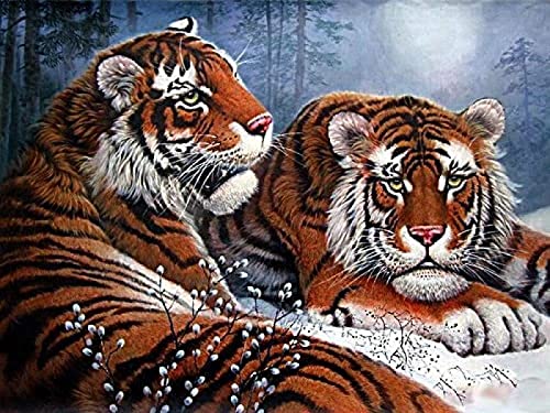 Eiialerm Kreuzstich Stickpackungen Zwei Tiger DIY Vorgedruckt Kreuzstich Stickbilder 11CT Sticken Set für Erwachsene Anfänger Home Decor 40x50cm von Eiialerm