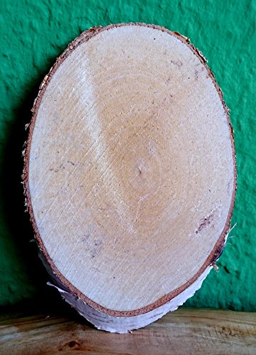 Birkenscheibe oval ca. 10-15 x 4-8 cm (Dicke: 1,0 cm) Holzscheiben Birkenstamm Birken Holz Dekoration Hochzeit Baumscheiben von El Natural - Produkte aus der Natur