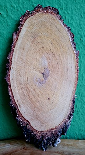 Birkenscheibe oval ca. 20-25 x 8-14 cm (Dicke: 1,5 cm) Holzscheiben Birkenstamm Birken Holz Dekoration Hochzeit Baumscheiben von El Natural - Produkte aus der Natur