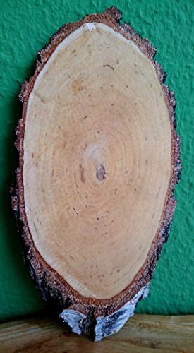 Birkenscheibe oval ca. 25-30 x 8-14 cm (Dicke: 1,5 cm) Holzscheiben Birkenstamm Birken Holz Dekoration Hochzeit Baumscheiben von El Natural - Produkte aus der Natur