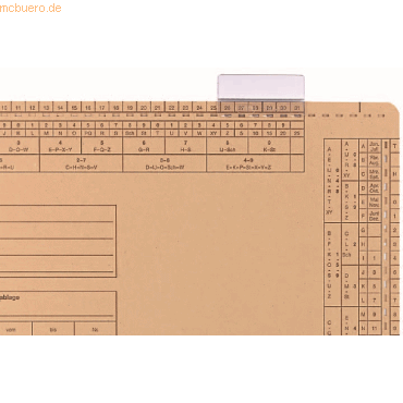 Elba Vollsichtreiter für Einstellmappen 50x27mm 3-zeilig transparent V von Elba