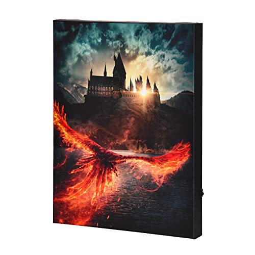 Elbenwald Harry Potter Wandbild mit Licht Phönix über Hogwarts aus Dumbledores Geheimnisse Design batteriebetrieben 30 x 40 x 3,8 cm von Elbenwald