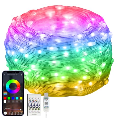 10M RGBIC Lichterkette mit Farbwechsel,[99+ Modi] 100LEDs Wasserdicht Lichtschlauch USB Plug in, mit Timer, Sync Musik, Fernbedienung & App Steuerung, für Weihnachten, Hochzeit, Haus, Party Dekoration von Electight