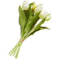 Tulpen Bund mit 3 Blüten und 2 Knospen - Creme von Elfenbein