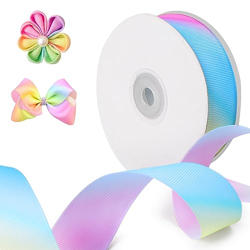 Encuryna Bunt Satinband, 1 Rollen 25mm x 22m Rainbow Schleifenband Dekoration, Regenbogen Stoffbänder Bänder Geschenkband Stoffband für Hochzeit Geschenkverpackungen (Pink-Blau) von Encuryna