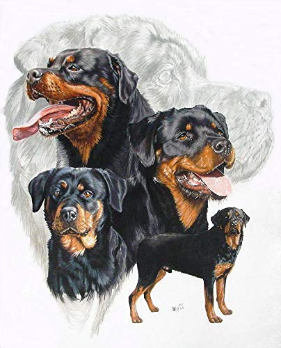 Eodyyw Diamond Painting_Süßes Rottweiler-Welpentier_Diy Cross Stickerei Malerei Kits_Wohnzimmer Schlafzimmer Büro Wand Und Eingang Dekoration_40X50Cm_Rahmenlos von Eodyyw