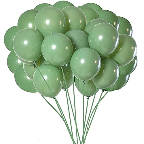 Eoslcusmvl 100 StüCk GrüNe Luft Ballons Oliv GrüNe Luft Ballons Eukalyptus Latex Ballon 12 für Frauen MäNner Geburtstag Baby Hochzeit von Eoslcusmvl