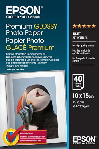 Epson C13S042153 Premium glossy photo paper inkjet 255g/m2 100x150mm 40 Blatt Pack von Epson