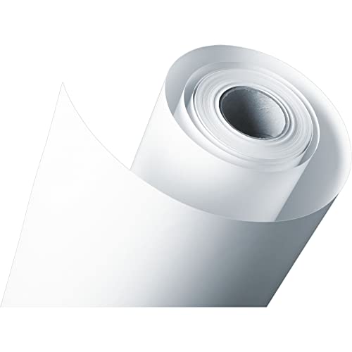 Epson C13S045008 Standard proofing paper inkjet 205g/m2 610mm x 50m 1 Rölle Pack von Epson