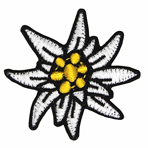 Patch Bundeswehr Edelweiß 5 x 5 cm Gestickt mit Hakenklettband Gebirgsjäger Edelweiss BW von Erich Fritzsch KG