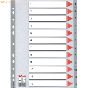 10 x Esselte Register A4 1-12 PP grau von Esselte