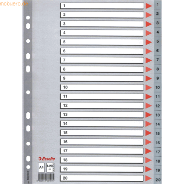 10 x Esselte Register A4 1-20 PP grau von Esselte