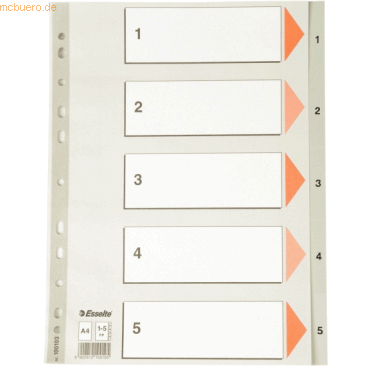 20 x Esselte Register A4 1-5 PP grau von Esselte